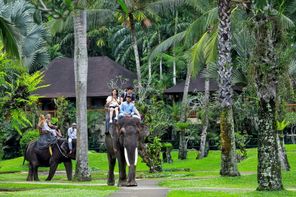 Bali Honeymoon package
